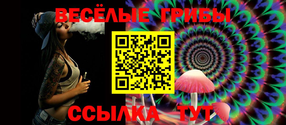 Анжеро-Судженск  Галлюциногенные грибы MAGIC MUSHROOMS  Галлюциногенные грибы GOLDEN TEACHER  Вход с VPN 